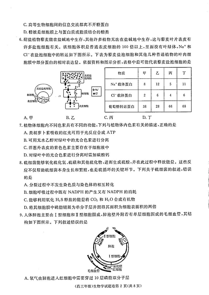 《2025届江西省赣州市十八县(市、区)二十四校高三上学期期中考试生物试题_2024-2027高三(6-6月题库)_2024年11月试卷_江西省赣州市十八县(市、区)二十四校11月期中联考生物试题》第2页预览