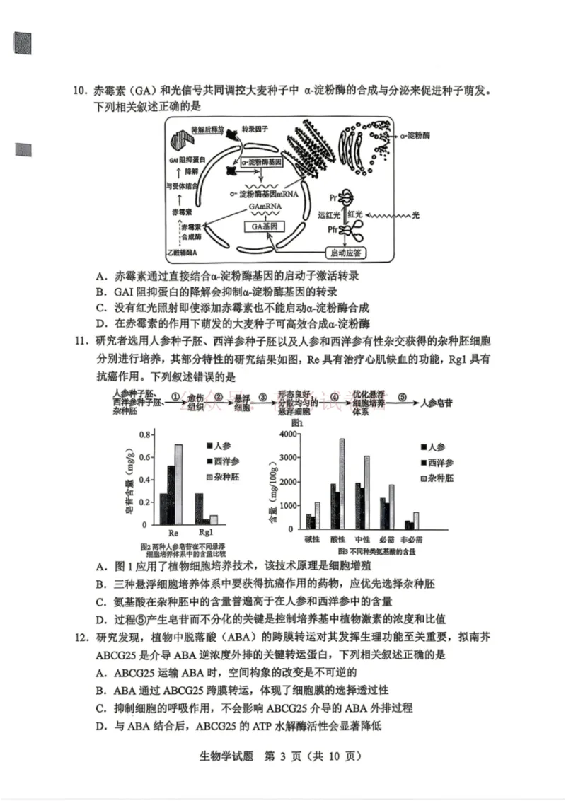 《黑龙江省哈尔滨市2026年高三第一次模拟考试生物_12.2026年4月全国各地高考模拟卷_2026年4月_2026届黑龙江省哈尔滨市高三下学期第一次模拟考试全科》第4页预览