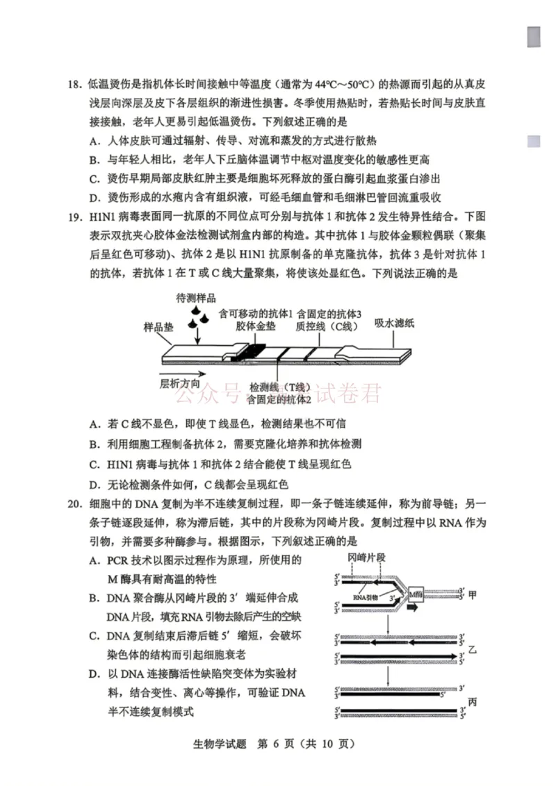 《黑龙江省哈尔滨市2026年高三第一次模拟考试生物_12.2026年4月全国各地高考模拟卷_2026年4月_2026届黑龙江省哈尔滨市高三下学期第一次模拟考试全科》第5页预览