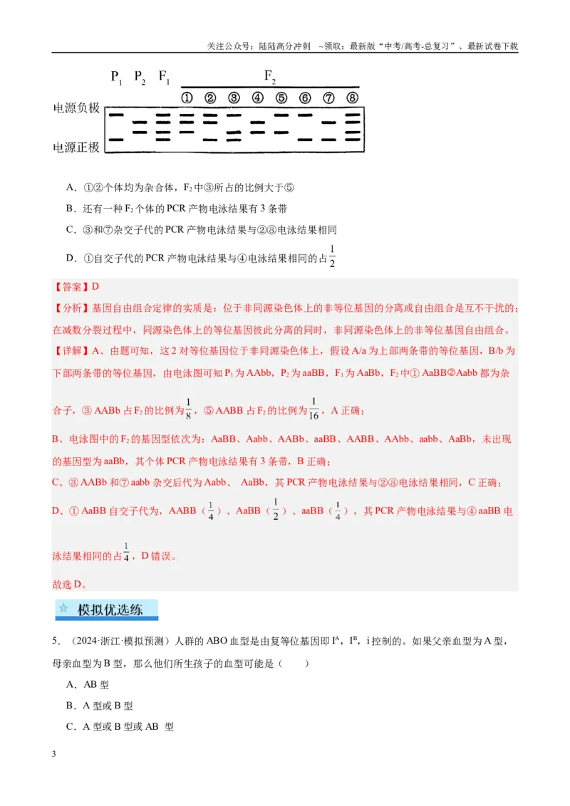 《专题10遗传的基本规律及其应用（教师版）_06-生物-高考总复习_一轮复习_2025年_2025年高考生物一轮复习考点精讲精练（新高考通用）》第3页预览
