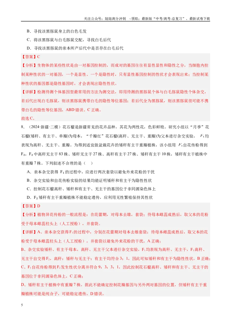 《专题10遗传的基本规律及其应用（教师版）_06-生物-高考总复习_一轮复习_2025年_2025年高考生物一轮复习考点精讲精练（新高考通用）》第5页预览