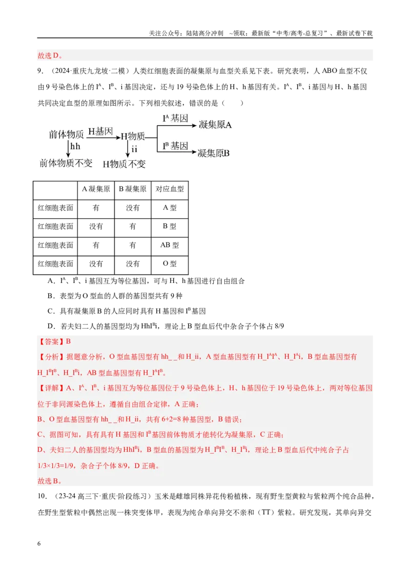 《专题10遗传的基本规律及其应用（教师版）_06-生物-高考总复习_一轮复习_2025年_2025年高考生物一轮复习考点精讲精练（新高考通用）》第6页预览