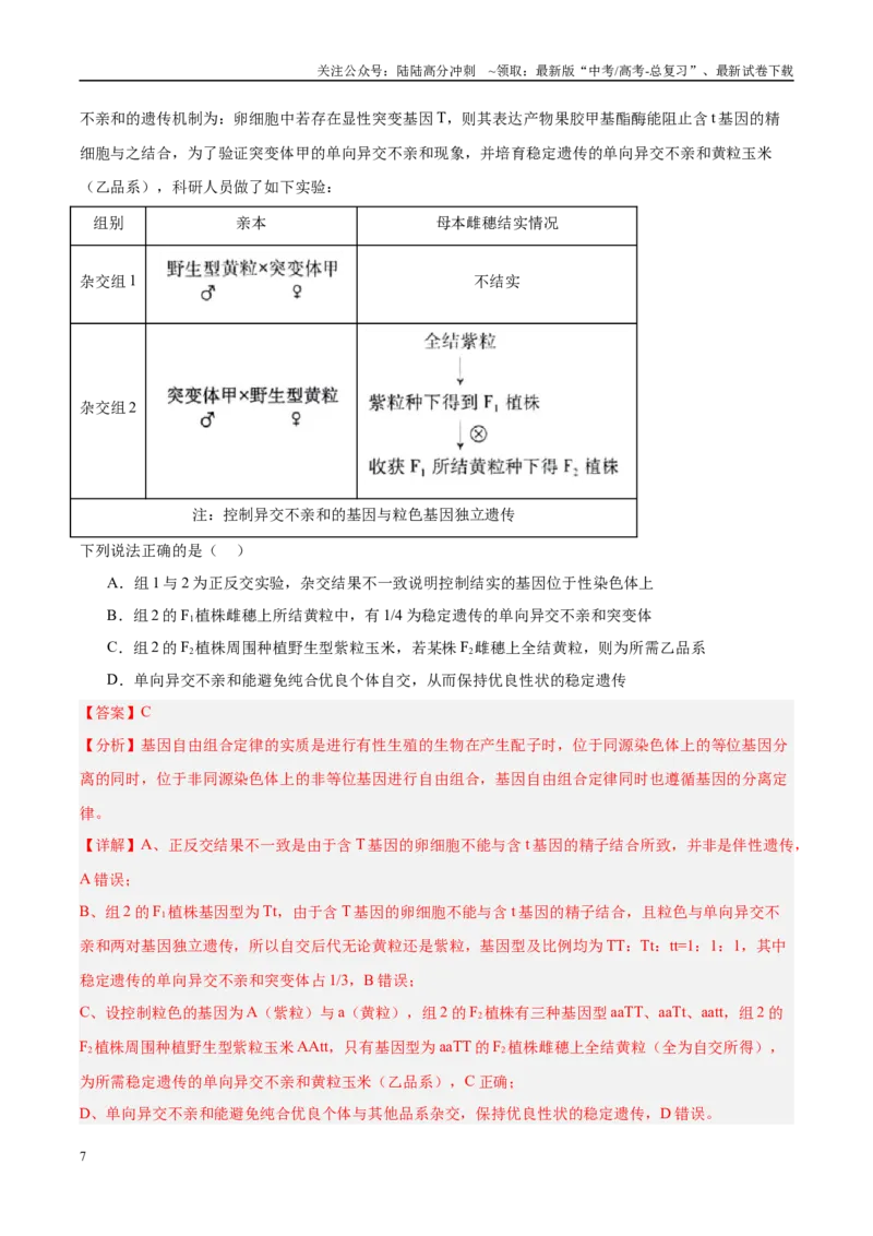 《专题10遗传的基本规律及其应用（教师版）_06-生物-高考总复习_一轮复习_2025年_2025年高考生物一轮复习考点精讲精练（新高考通用）》第7页预览