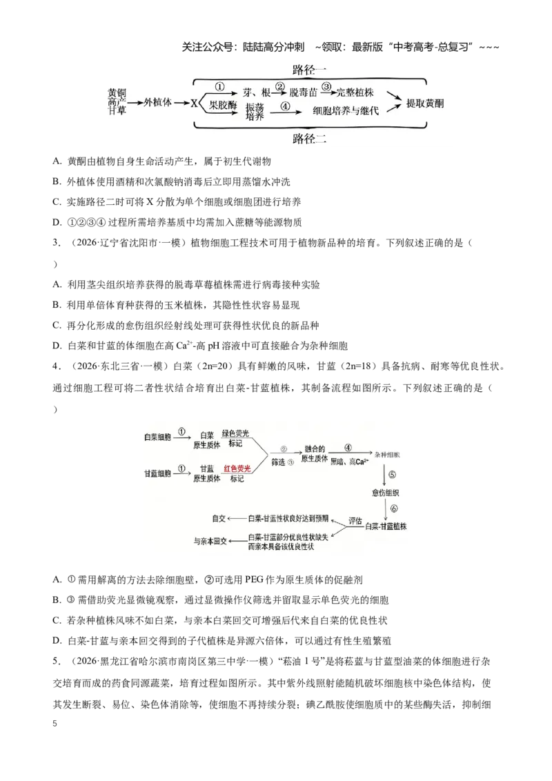 《专题11发酵工程与细胞工程（学生版）_06-生物-高考总复习_专项复习_2026年-生物高考专项复习_2026年高考生物一模试题分类汇编（黑吉辽蒙专用）-G238_2026版》第5页预览