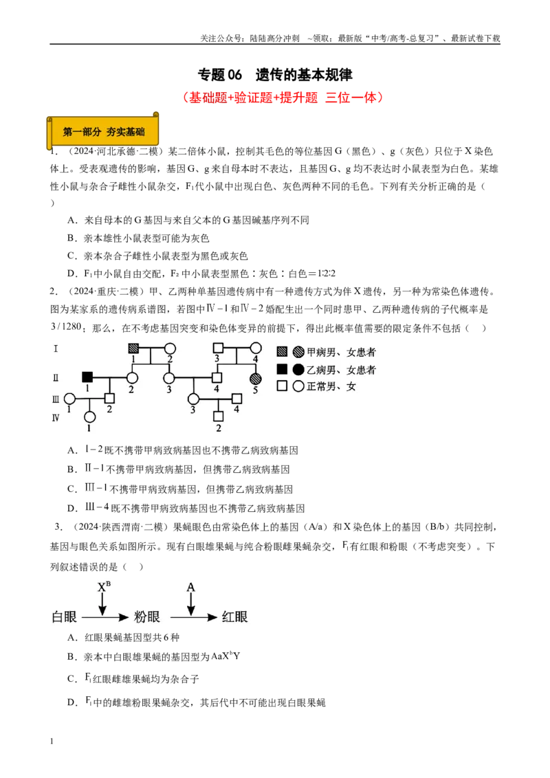 《专题06遗传的基本规律（原卷版）_06-生物-高考总复习_专项复习_2025年_2024年高考二模试题分类汇编生物新高考通用》第1页预览