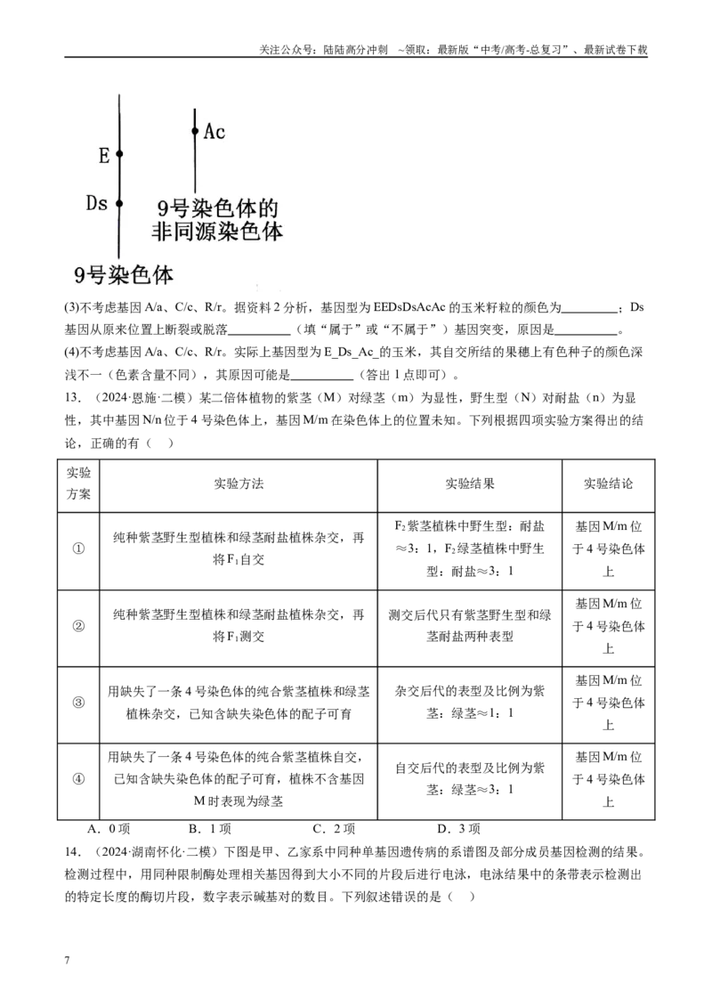《专题06遗传的基本规律（原卷版）_06-生物-高考总复习_专项复习_2025年_2024年高考二模试题分类汇编生物新高考通用》第7页预览