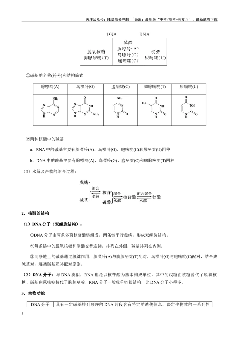 《考点59胺、酰胺、核酸、有机高分子材料（学生版）（新教材新高考）_05-化学-高考总复习_一轮复习_2025年_2025年高考化学一轮·考点讲义练习复习讲义（新教材新高考）_资料》第5页预览