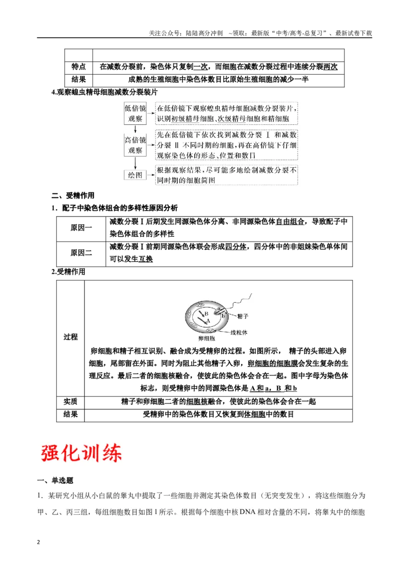 《专题13减数分裂和受精作用（解析版)_06-生物-高考总复习_一轮复习_2024年_2024年高考生物一轮复习重难点专项突破_资料》第2页预览