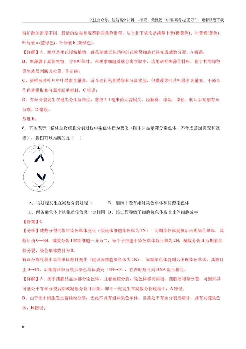 《专题13减数分裂和受精作用（解析版)_06-生物-高考总复习_一轮复习_2024年_2024年高考生物一轮复习重难点专项突破_资料》第6页预览