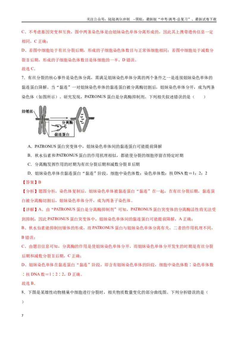 《专题13减数分裂和受精作用（解析版)_06-生物-高考总复习_一轮复习_2024年_2024年高考生物一轮复习重难点专项突破_资料》第7页预览