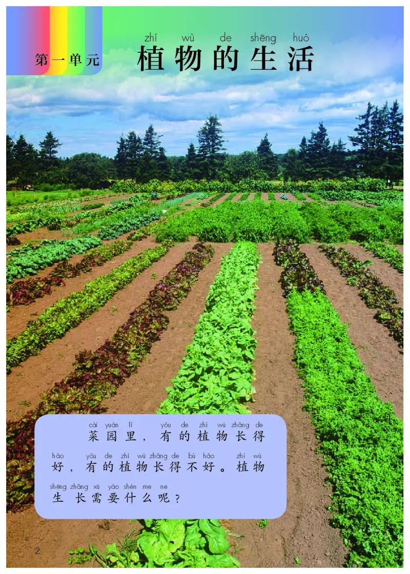 《义务教育教科书科学二年级上册_小学1-6年级全科全套_2025更新专题（含教材）_寒假预复习必备资料2024新版小学教材电子版_小学科学_人教版（无水印）》第5页预览