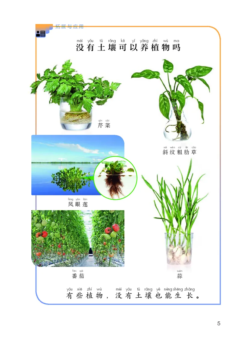 《义务教育教科书科学二年级上册_小学1-6年级全科全套_2025更新专题（含教材）_寒假预复习必备资料2024新版小学教材电子版_小学科学_人教版（无水印）》第8页预览