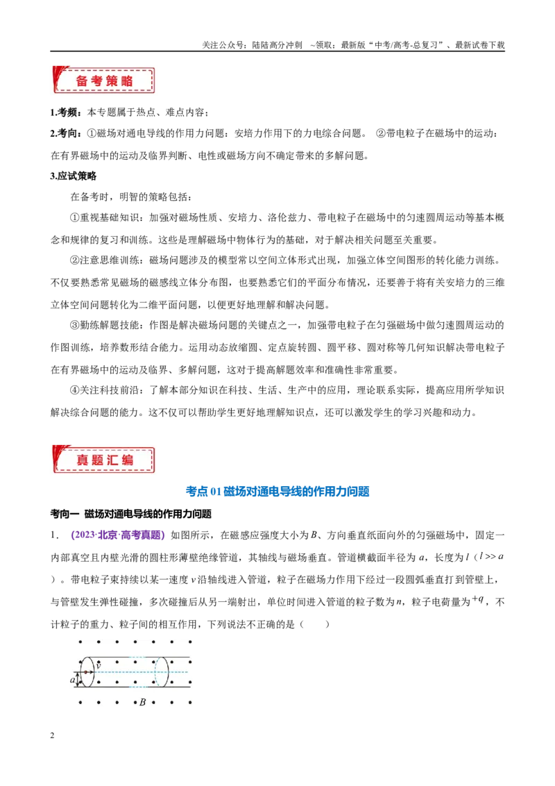 《专题10磁场带电粒子在磁场中的运动（考点解析及应试策略）（解析版）_04-物理-高考总复习_专项复习_2024年_2024年高考真题考点解析及应试策_资料》第2页预览