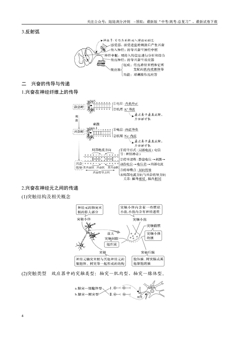 《专题10生命活动的调节（学生版）_06-生物-高考总复习_专项复习_2024年_2024年高考生物总复习核心题型解读与全攻略新教材_资料》第4页预览