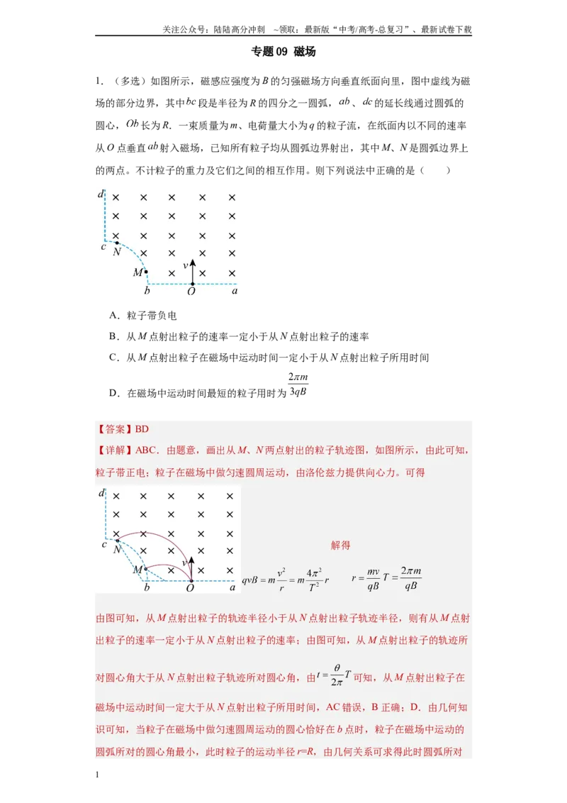 《专题09磁场(解析版)_04-物理-高考总复习_专项复习_2025年_2024年高考一模试题分类汇编物理新高考专用》第1页预览