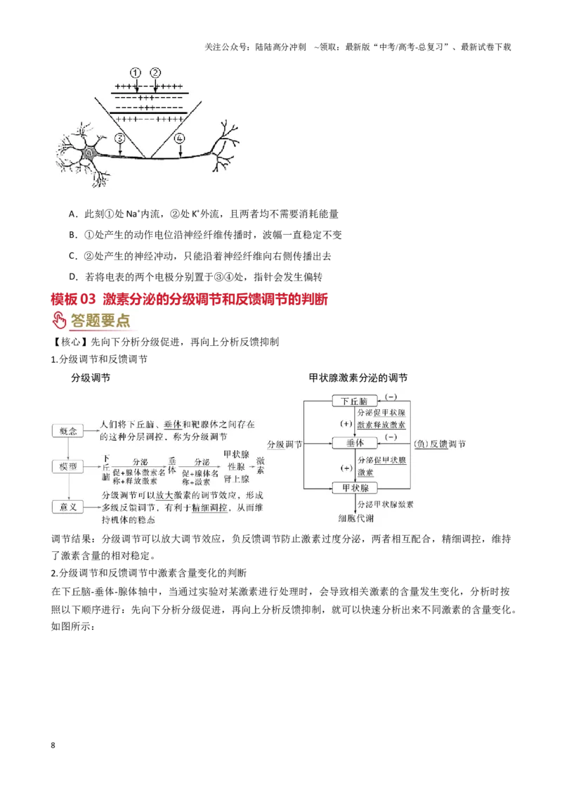 《专题07动物和人体生命活动的调节（学生版）_06-生物-高考总复习_专项复习_2025年_2025年高考生物答题技巧与答题模板（全国通用）》第8页预览