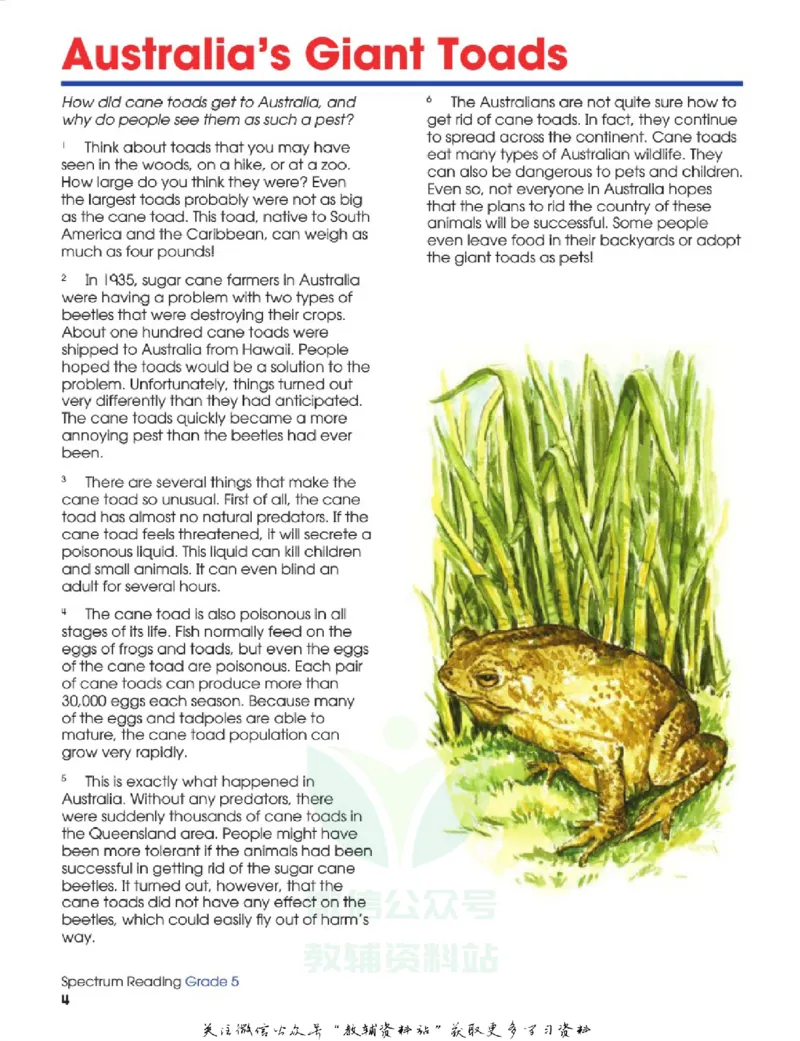 《SpectrumReadingWorkbookG5_小初高学习资料合集（每天更新）_国外原版英文教辅汇总_SpectrumReadingWorkbook》第8页预览