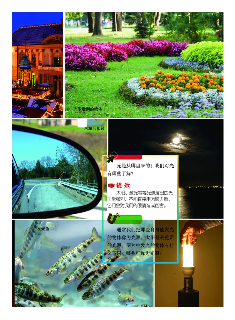 《义务教育教科书-科学-五年级上册_小学1-6年级全科全套_2025更新专题（含教材）_寒假预复习必备资料2024新版小学教材电子版_小学科学_教科版（无水印）》第8页预览