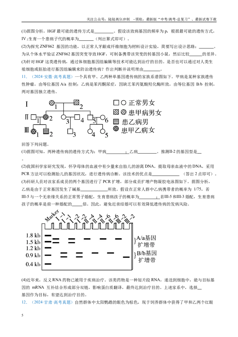 《专题13伴性遗传和人类遗传病-（全国通用）（原卷版）_06-生物-高考总复习_专项复习_2025年_十年（2015-2024）高考生物真题分类汇编（全国通用）》第5页预览