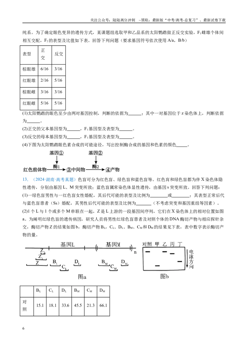 《专题13伴性遗传和人类遗传病-（全国通用）（原卷版）_06-生物-高考总复习_专项复习_2025年_十年（2015-2024）高考生物真题分类汇编（全国通用）》第6页预览