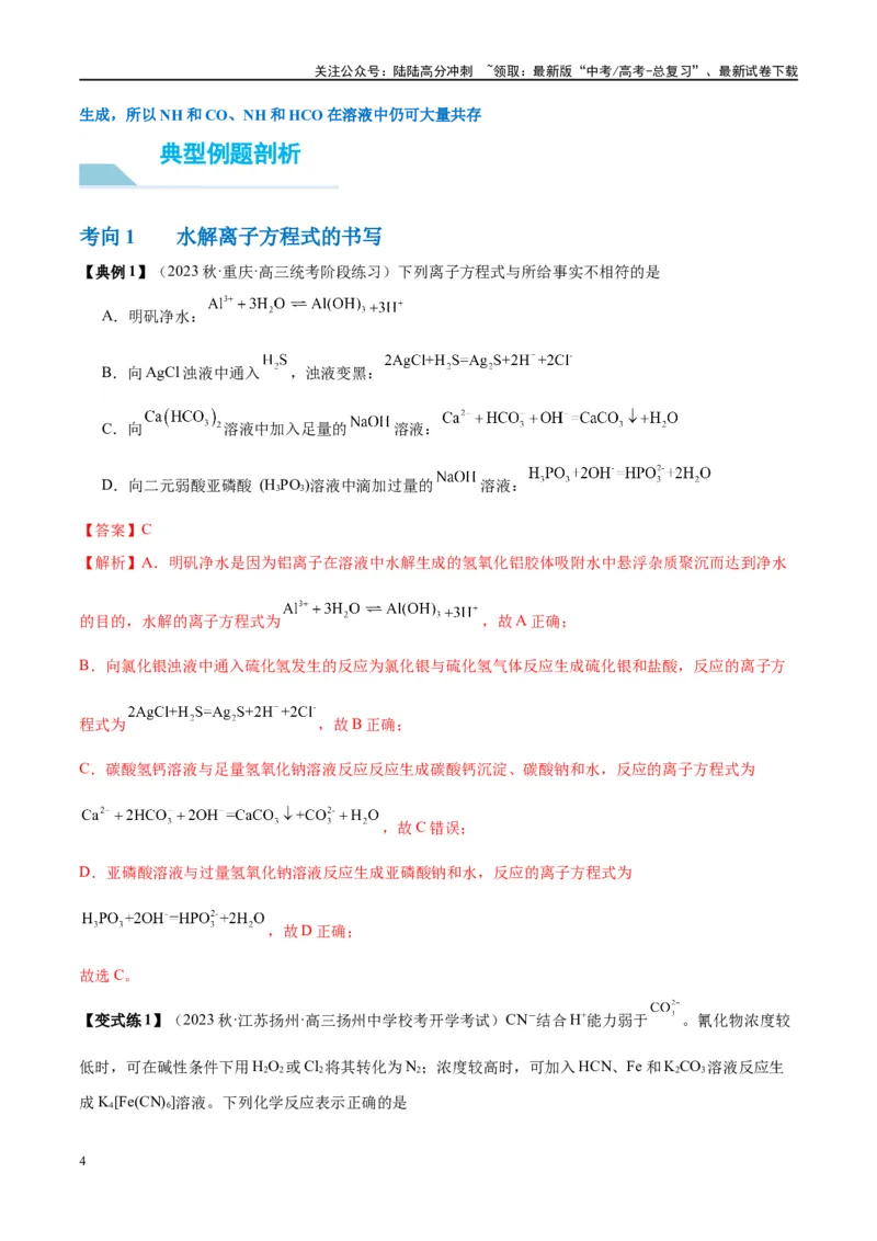 《第30讲盐类的水解（讲义）-（解析版）_05-化学-高考总复习_一轮复习_2024年_2024年高考化学大一轮复习卓越讲义_资料》第4页预览