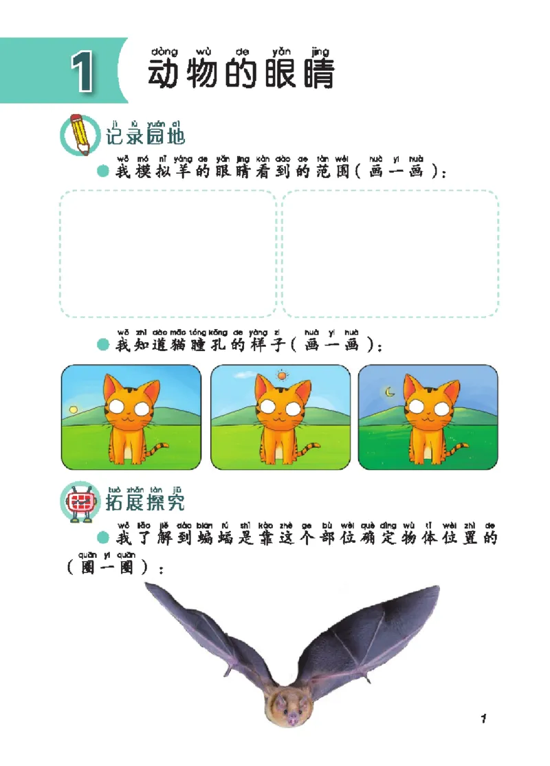 《五制二上手册_小学1-6年级全科全套_2025更新专题（含教材）_寒假预复习必备资料2024新版小学教材电子版_小学科学_青岛版（无水印）_五制_活动手册》第6页预览