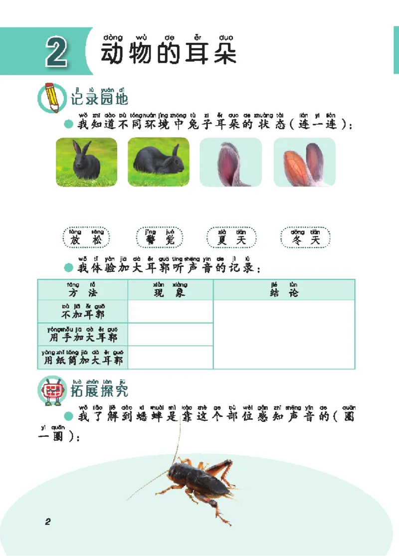 《五制二上手册_小学1-6年级全科全套_2025更新专题（含教材）_寒假预复习必备资料2024新版小学教材电子版_小学科学_青岛版（无水印）_五制_活动手册》第7页预览