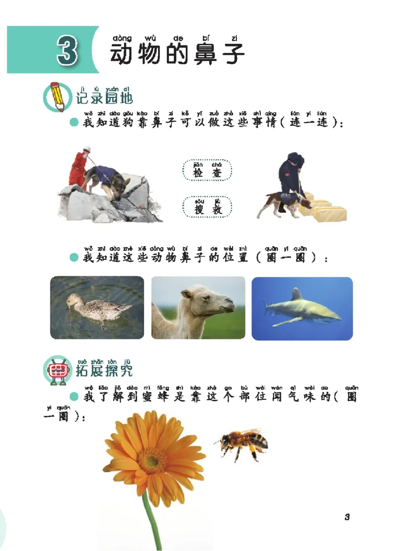 《五制二上手册_小学1-6年级全科全套_2025更新专题（含教材）_寒假预复习必备资料2024新版小学教材电子版_小学科学_青岛版（无水印）_五制_活动手册》第8页预览