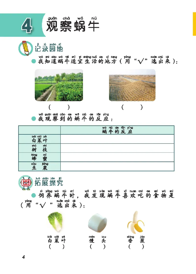 《五制二上手册_小学1-6年级全科全套_2025更新专题（含教材）_寒假预复习必备资料2024新版小学教材电子版_小学科学_青岛版（无水印）_五制_活动手册》第9页预览