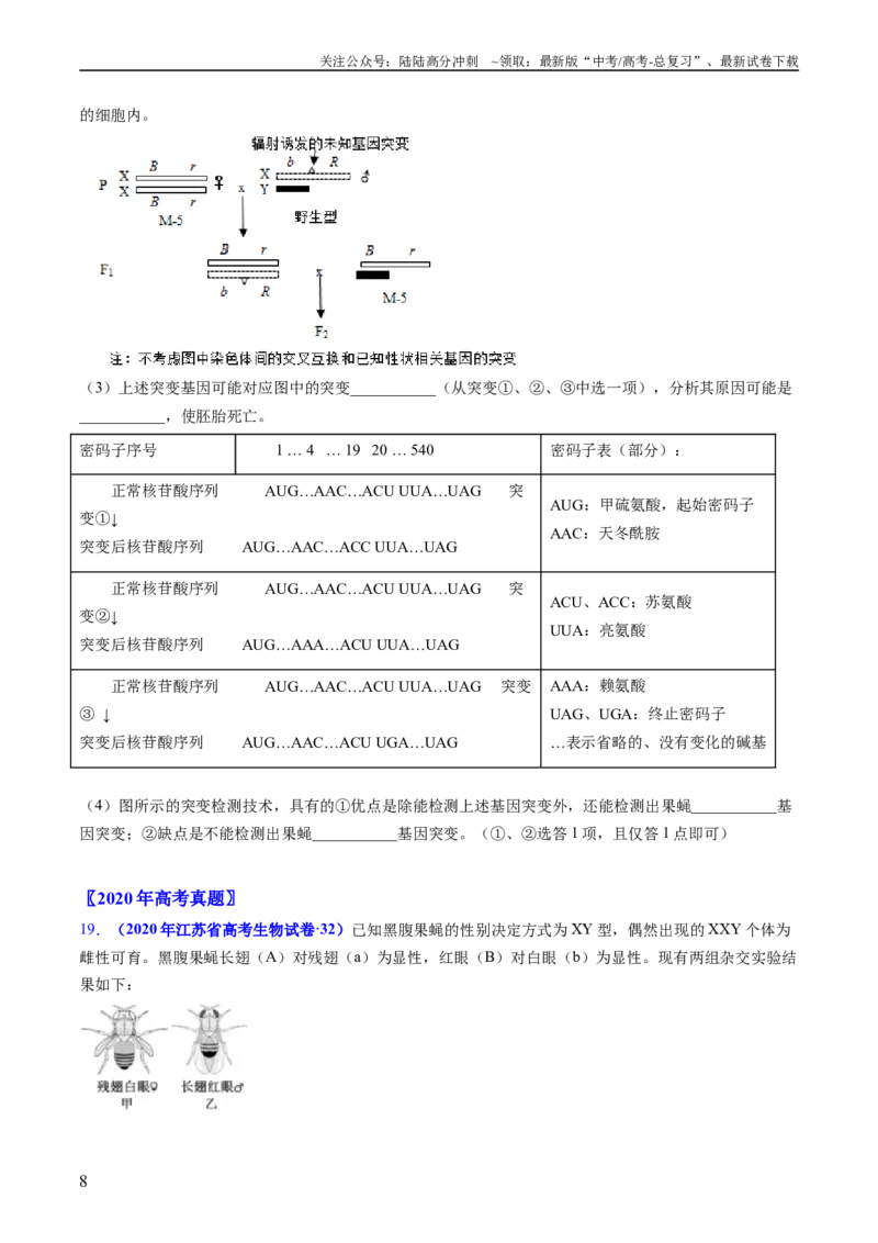 《专题11伴性遗传和人类遗传病-五年（2019-2023）高考生物真题分项汇编（全国通用）（学生版）_06-生物-高考总复习_专项复习_2024年_2024年高考生物五年真题分项汇编（全国通用）》第8页预览