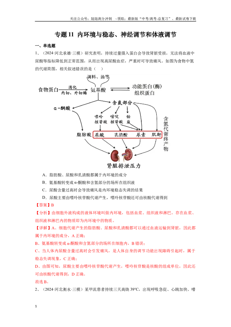 《专题11内环境与稳态、神经调节和体液调节（解析版）_06-生物-高考总复习_专项复习_2025年_2024年高考三模试题分类汇编生物2新高考通用》第1页预览