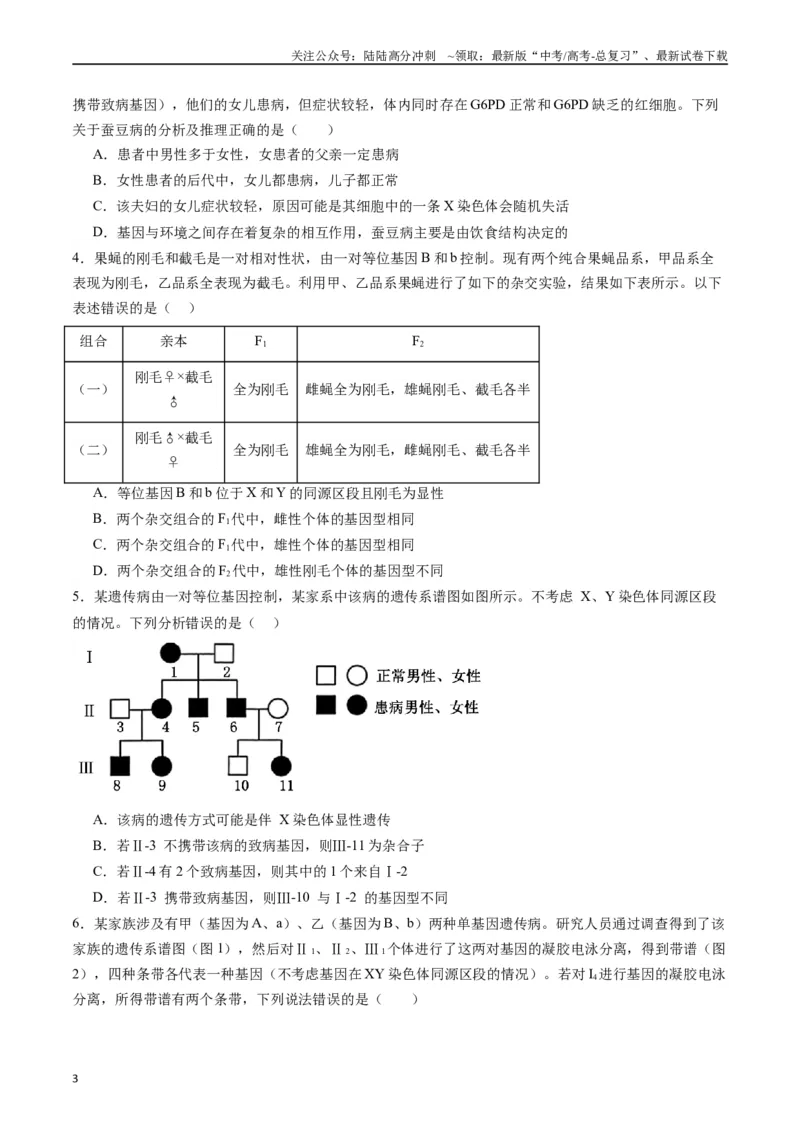 《专题13伴性遗传和人类遗传病（原卷版）_06-生物-高考总复习_专项复习_2024年_2024年高考生物经典小题必刷_资料》第3页预览