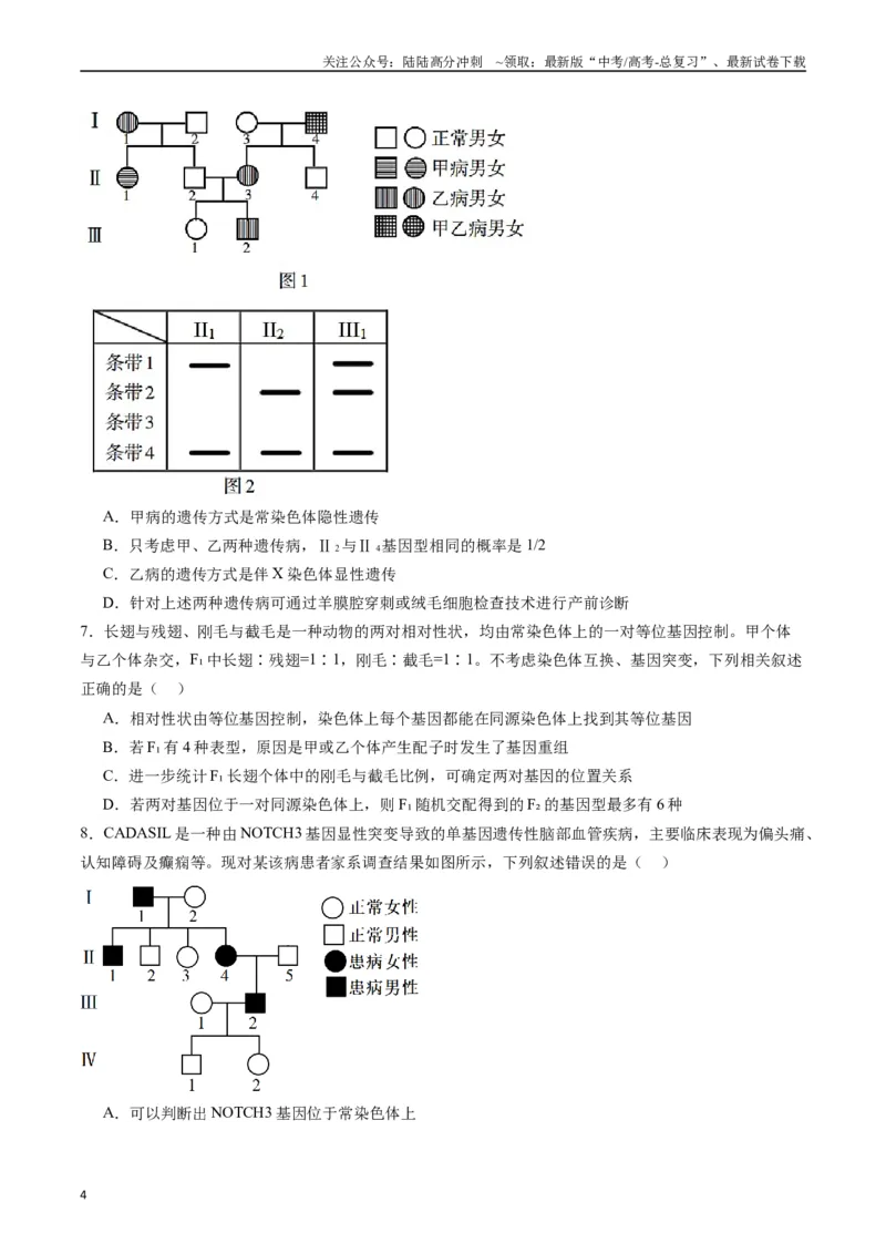 《专题13伴性遗传和人类遗传病（原卷版）_06-生物-高考总复习_专项复习_2024年_2024年高考生物经典小题必刷_资料》第4页预览