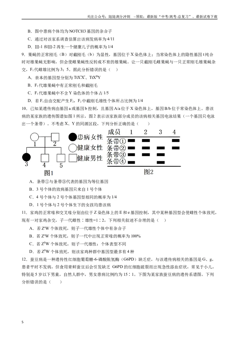 《专题13伴性遗传和人类遗传病（原卷版）_06-生物-高考总复习_专项复习_2024年_2024年高考生物经典小题必刷_资料》第5页预览