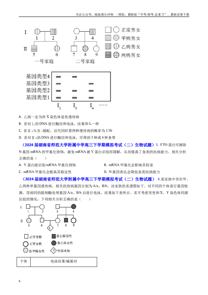 《专题10变异与育种-(原卷版）_06-生物-高考总复习_专项复习_2024年_2024年高考真题和模拟题分项汇编生物分类汇编（全国通用）》第6页预览