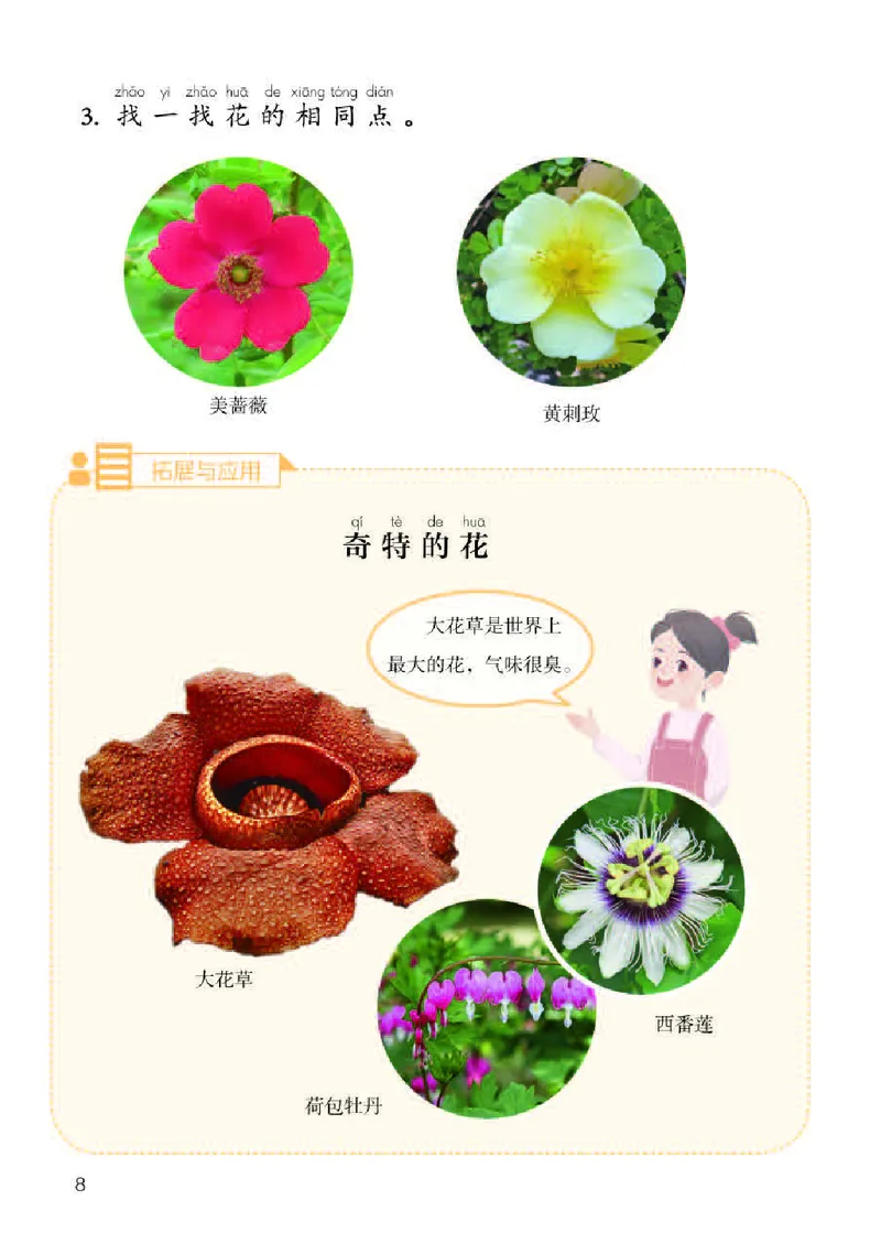 《义务教育教科书科学一年级下册_小学1-6年级全科全套_2025更新专题（含教材）_寒假预复习必备资料2024新版小学教材电子版_小学科学_人教版（无水印）》第10页预览