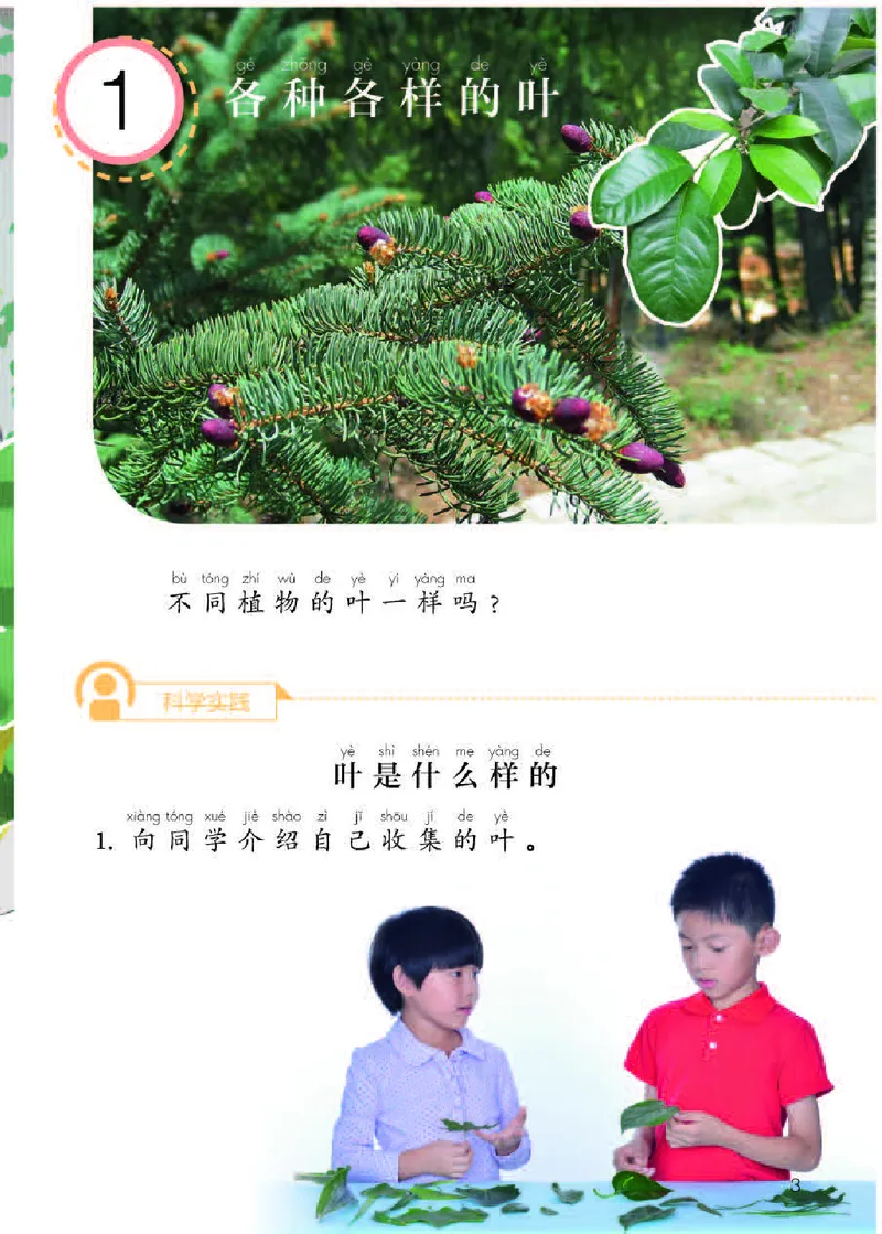 《义务教育教科书科学一年级下册_小学1-6年级全科全套_2025更新专题（含教材）_寒假预复习必备资料2024新版小学教材电子版_小学科学_人教版（无水印）》第5页预览
