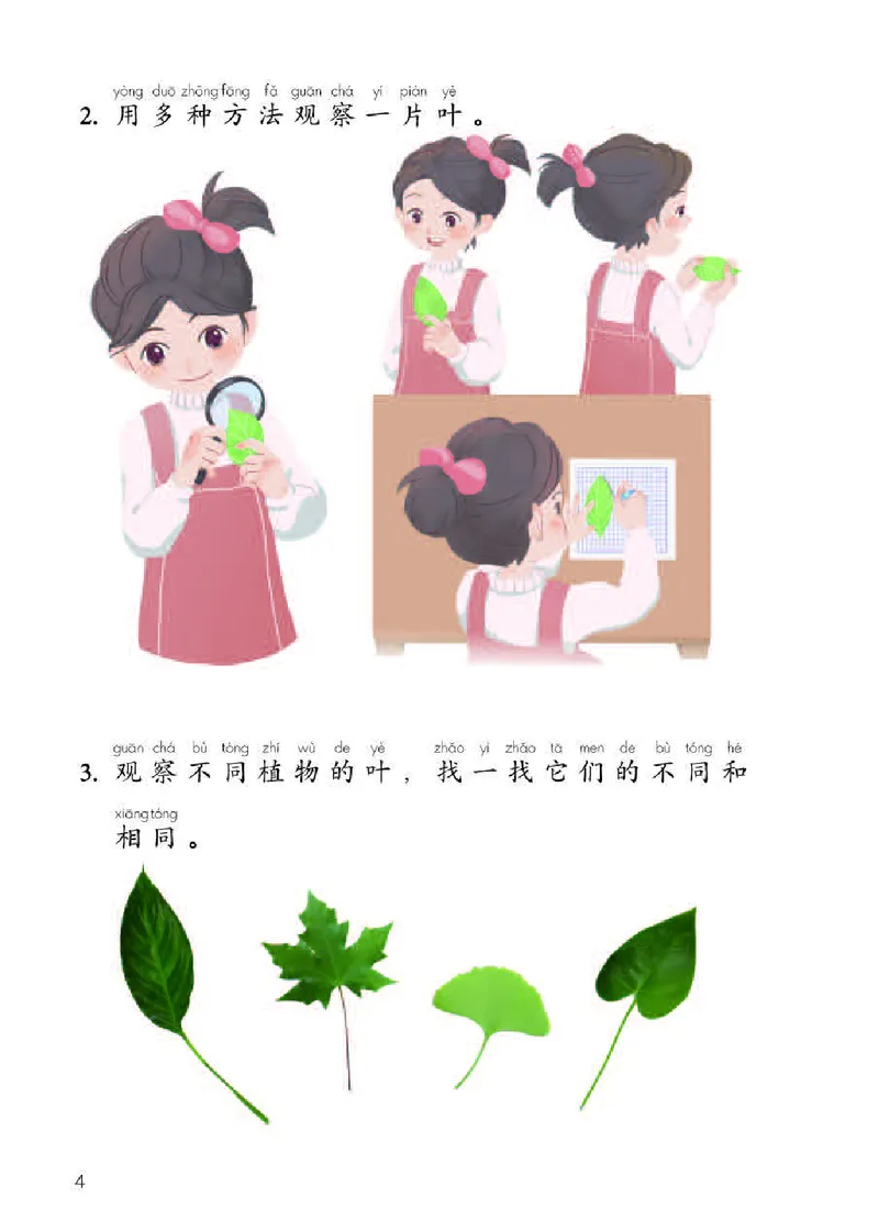 《义务教育教科书科学一年级下册_小学1-6年级全科全套_2025更新专题（含教材）_寒假预复习必备资料2024新版小学教材电子版_小学科学_人教版（无水印）》第6页预览
