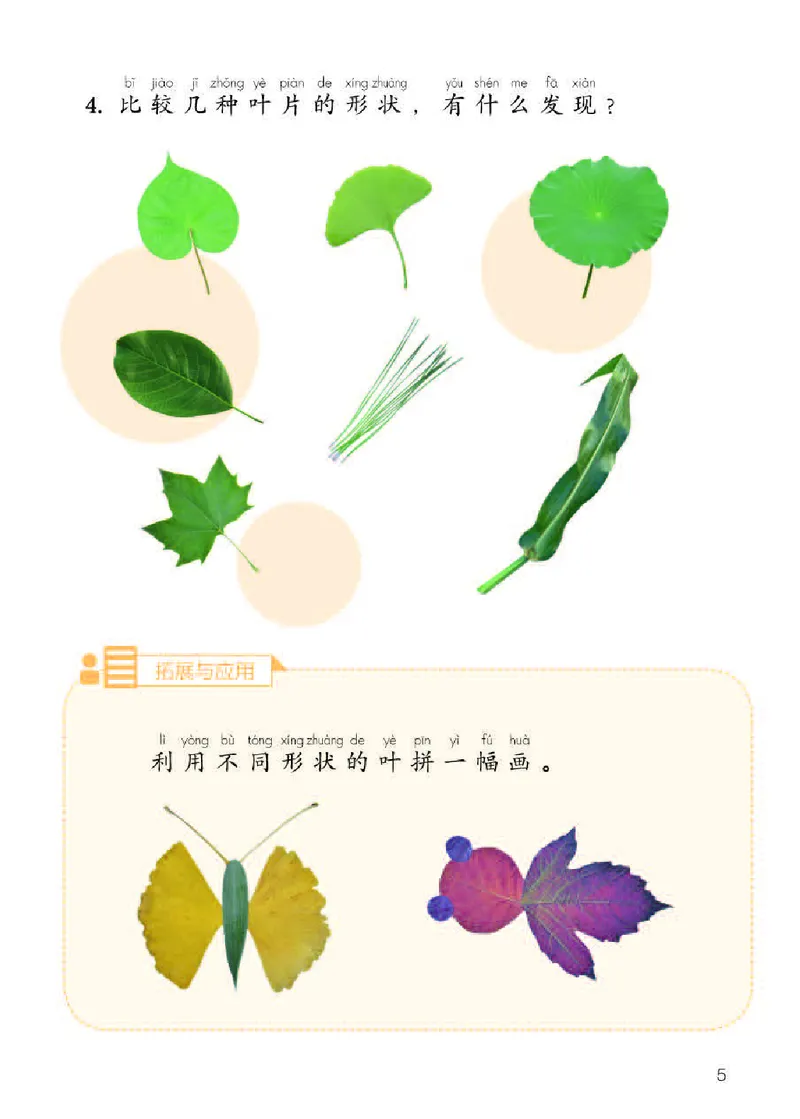 《义务教育教科书科学一年级下册_小学1-6年级全科全套_2025更新专题（含教材）_寒假预复习必备资料2024新版小学教材电子版_小学科学_人教版（无水印）》第7页预览