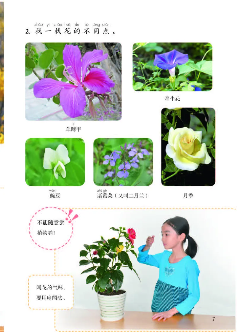 《义务教育教科书科学一年级下册_小学1-6年级全科全套_2025更新专题（含教材）_寒假预复习必备资料2024新版小学教材电子版_小学科学_人教版（无水印）》第9页预览