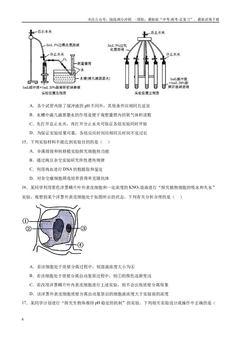 《专题06探究类实验（原卷版）_06-生物-高考总复习_专项复习_2024年_2024年高考生物实验专项训练_资料》第6页预览