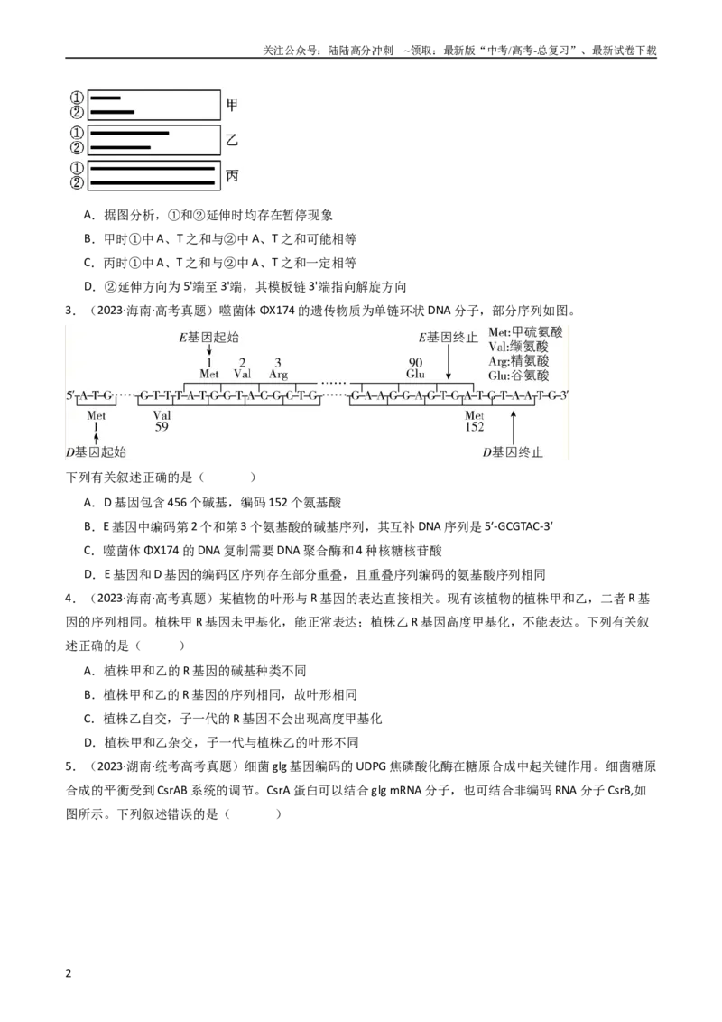 《专题10遗传的分子基础（学生版）_06-生物-高考总复习_专项复习_2024年_十年（2014-2023）高考生物真题分项汇编（全国通用）》第2页预览