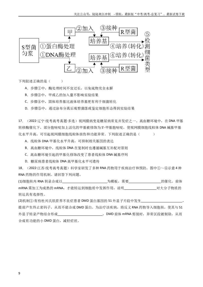 《专题10遗传的分子基础（学生版）_06-生物-高考总复习_专项复习_2024年_十年（2014-2023）高考生物真题分项汇编（全国通用）》第9页预览