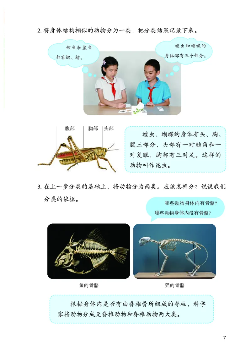 《义务教育教科书科学四年级上册_小学1-6年级全科全套_2025更新专题（含教材）_寒假预复习必备资料2024新版小学教材电子版_小学科学_人教版（无水印）》第10页预览