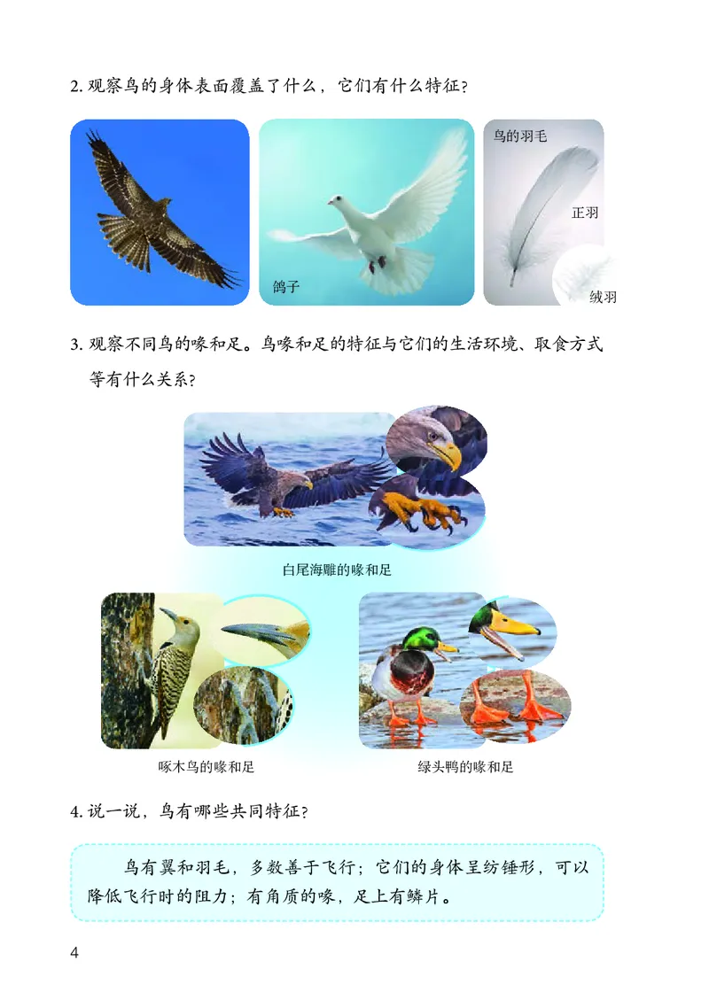 《义务教育教科书科学四年级上册_小学1-6年级全科全套_2025更新专题（含教材）_寒假预复习必备资料2024新版小学教材电子版_小学科学_人教版（无水印）》第7页预览