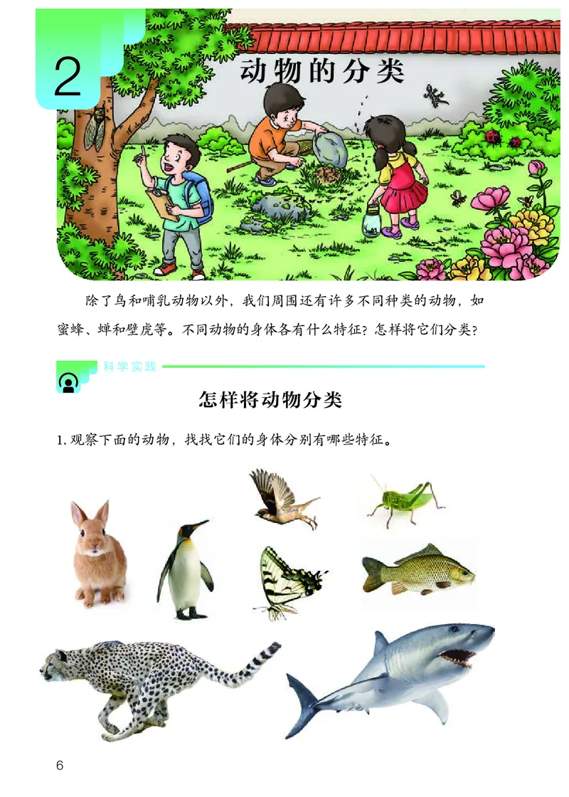 《义务教育教科书科学四年级上册_小学1-6年级全科全套_2025更新专题（含教材）_寒假预复习必备资料2024新版小学教材电子版_小学科学_人教版（无水印）》第9页预览