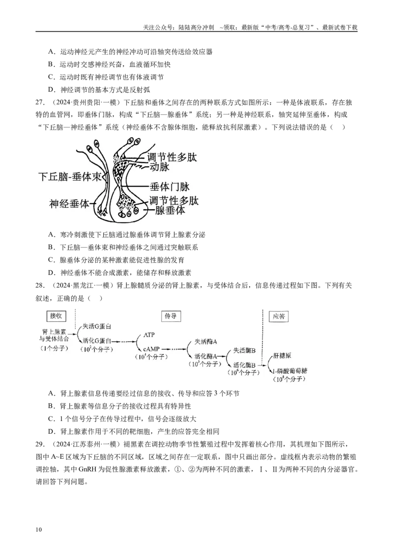 《专题09人和高等动物生命活动调节（原卷版）_06-生物-高考总复习_专项复习_2025年_2024年高考一模试题分类汇编生物新高考通用》第10页预览