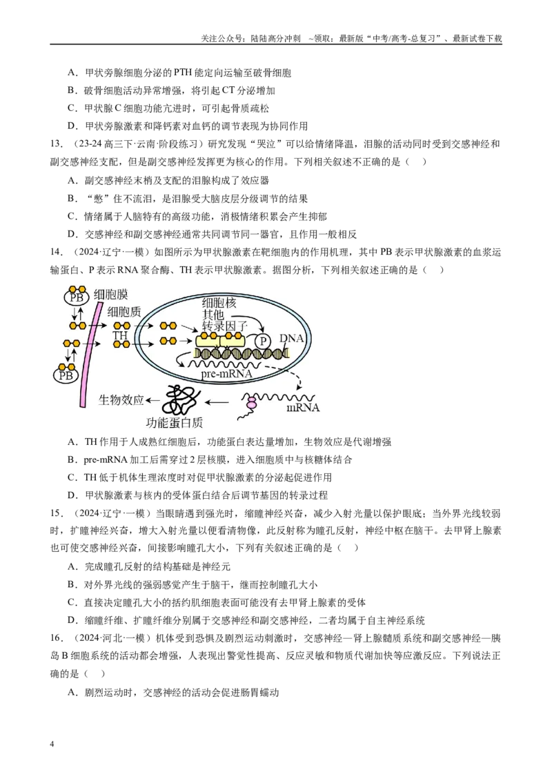 《专题09人和高等动物生命活动调节（原卷版）_06-生物-高考总复习_专项复习_2025年_2024年高考一模试题分类汇编生物新高考通用》第4页预览