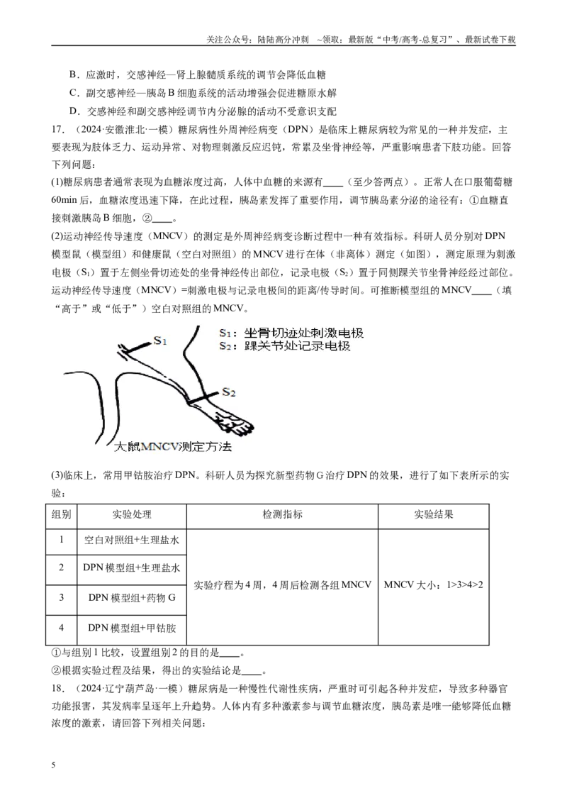 《专题09人和高等动物生命活动调节（原卷版）_06-生物-高考总复习_专项复习_2025年_2024年高考一模试题分类汇编生物新高考通用》第5页预览