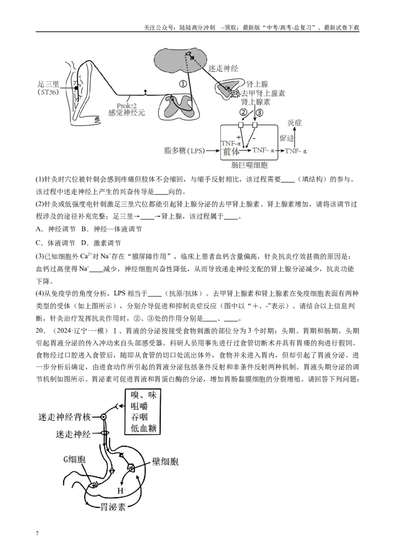 《专题09人和高等动物生命活动调节（原卷版）_06-生物-高考总复习_专项复习_2025年_2024年高考一模试题分类汇编生物新高考通用》第7页预览